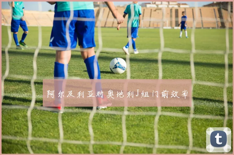 阿尔及利亚对奥地利J组门前效率