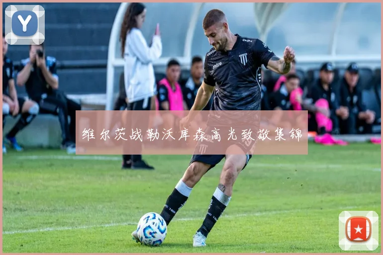 维尔茨战勒沃库森高光致敬集锦