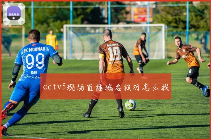 cctv5现场直播域名核对怎么找