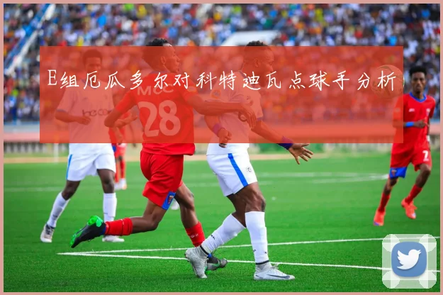 E组厄瓜多尔对科特迪瓦点球手分析