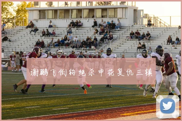谢鹏飞倒钩绝杀申花复仇三镇
