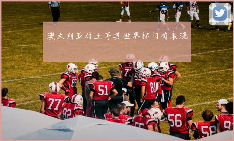 澳大利亚对土耳其世界杯门将表现