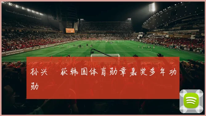 孙兴慜获韩国体育勋章嘉奖多年功勋