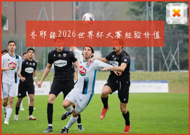 齐耶赫2026世界杯大赛经验价值