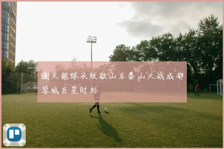 谢文能球衣致敬山东泰山大战成都蓉城巨星时刻