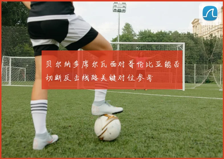 贝尔纳多席尔瓦面对哥伦比亚能否切断反击线路关键对位参考