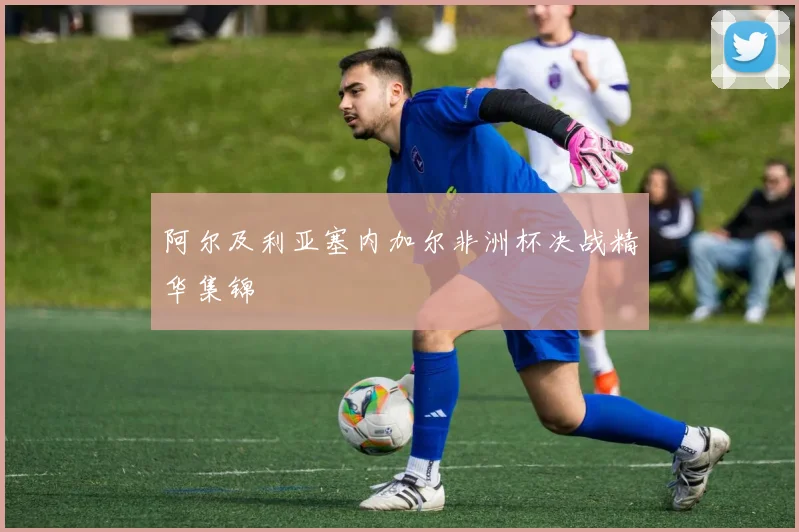 阿尔及利亚塞内加尔非洲杯决战精华集锦