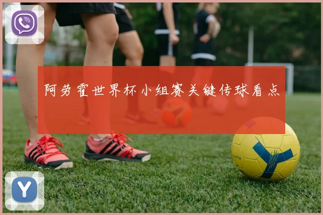 阿劳霍世界杯小组赛关键传球看点