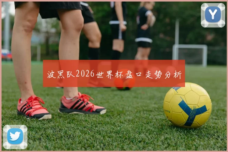 波黑队2026世界杯盘口走势分析