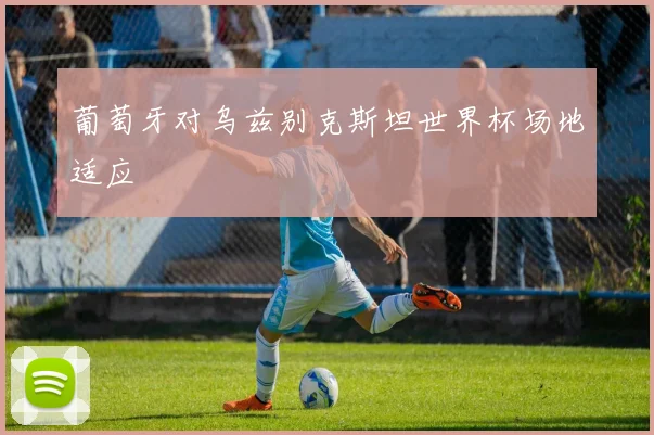 葡萄牙对乌兹别克斯坦世界杯场地适应