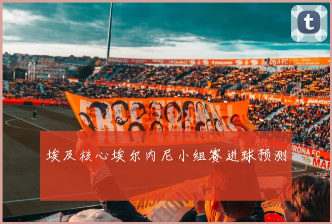 埃及核心埃尔内尼小组赛进球预测